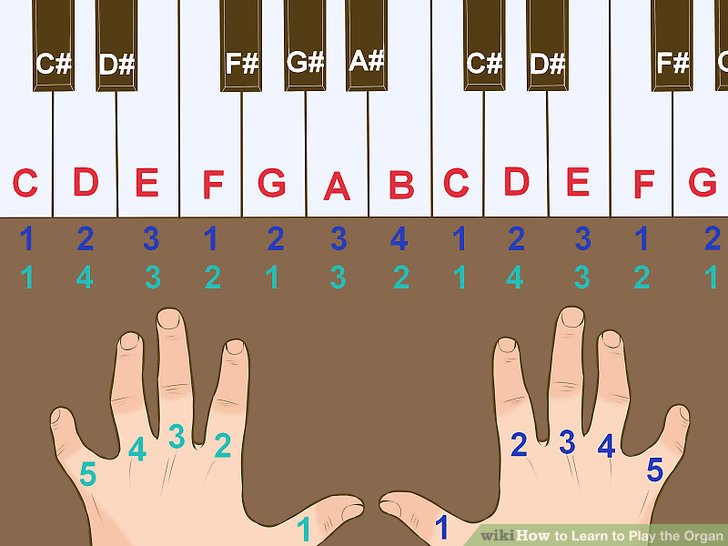 Learn How To Play The Organ
